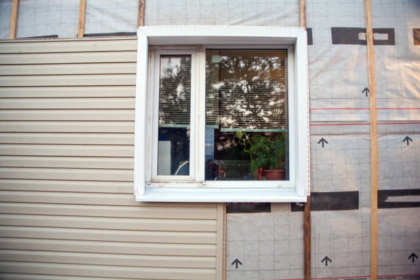 Best Siding Removal and Disposal  in Minden, NV